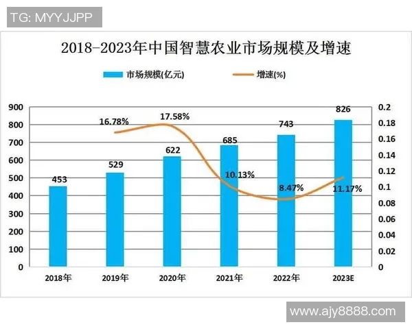 西安网球队的阵地战策略与发展现状深度分析